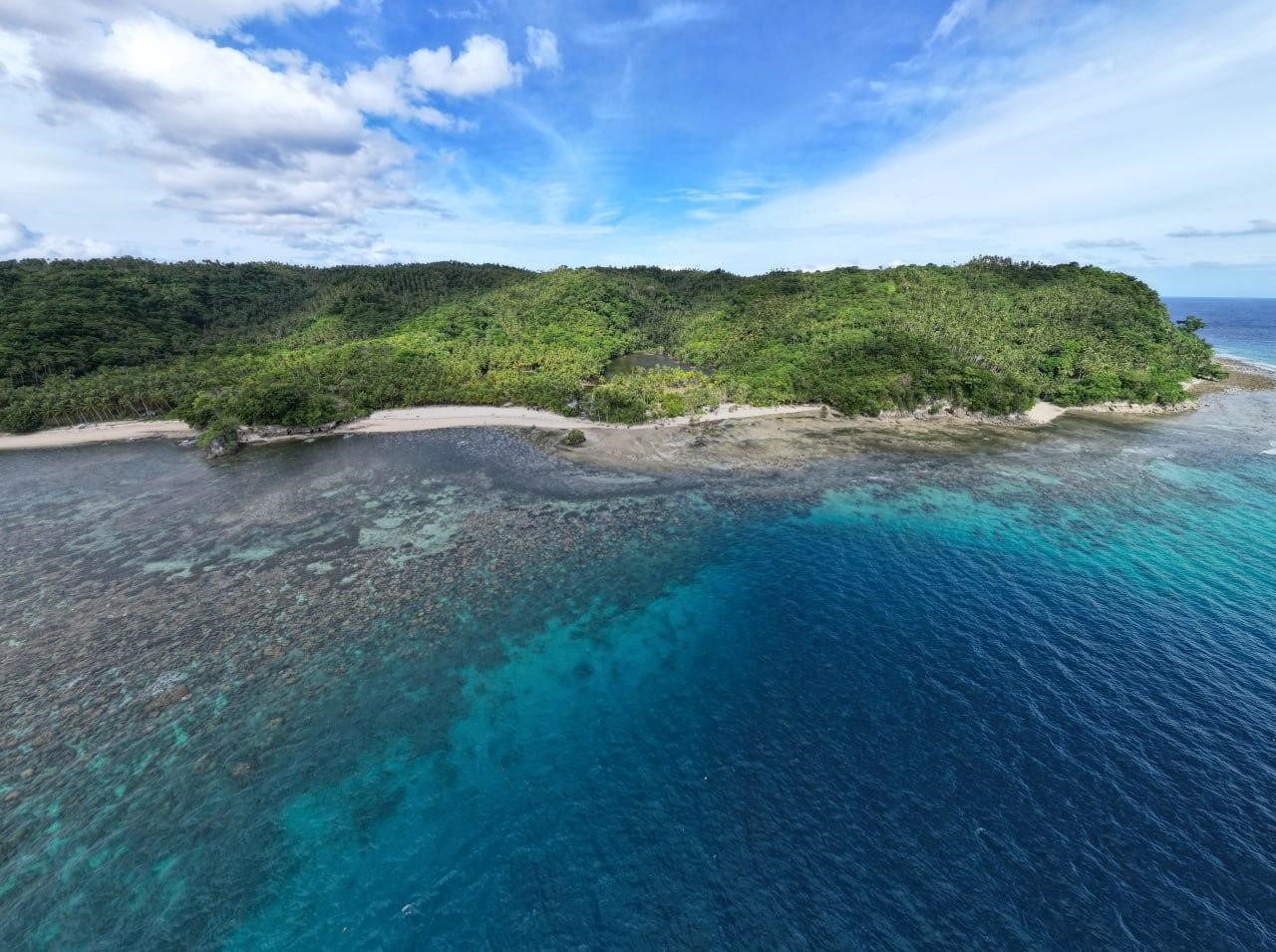 Sarangani Island