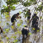 Celebrating Women’s Month Through Mangrove Tree Planting 